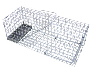 sx-rat-trap%5B1%5D.jpg